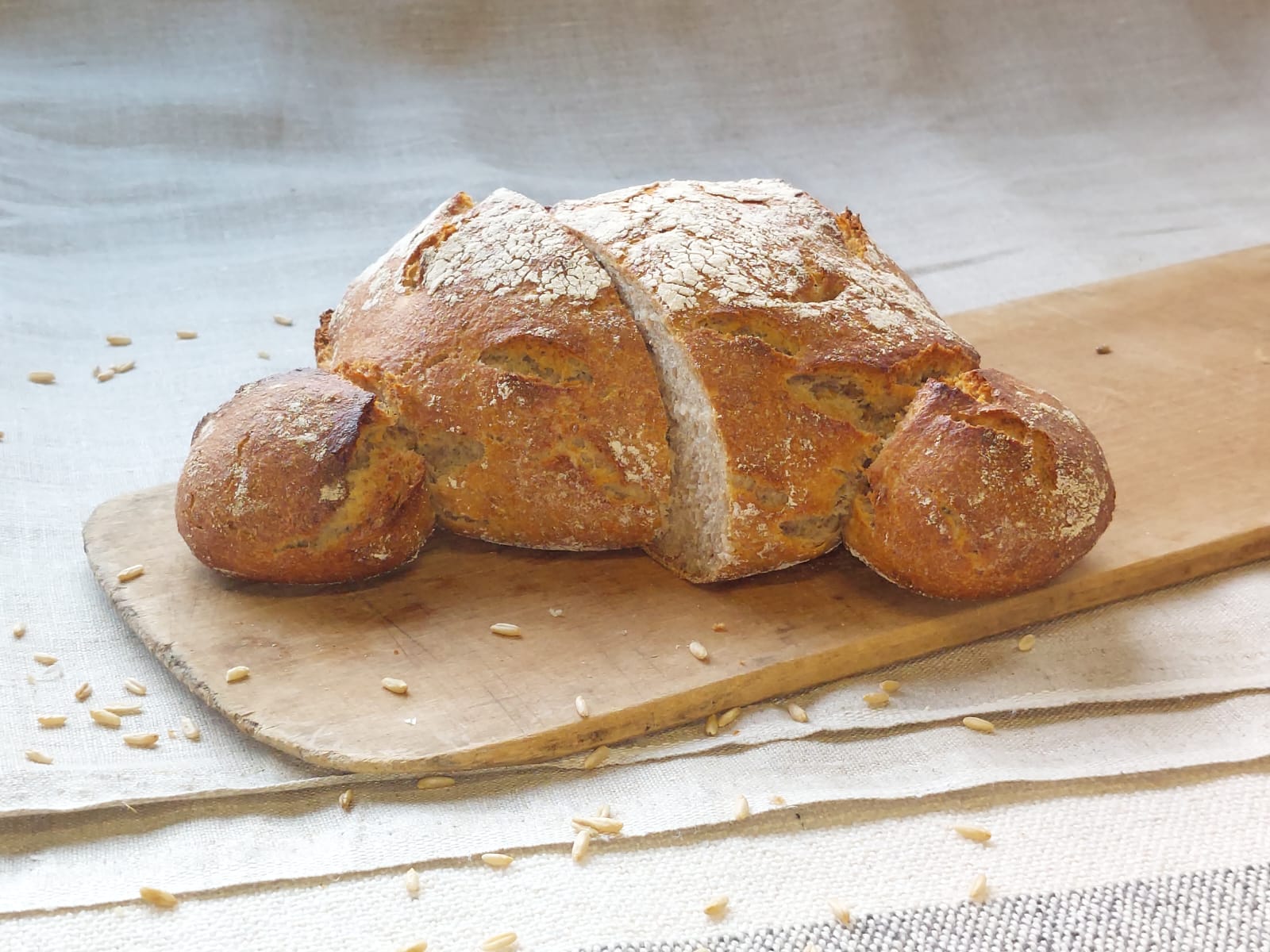 DreiTimpenBrot BIO